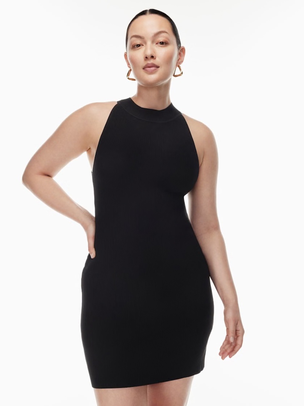 Aritzia Babaton Sculpt Knit Halter Dress Black | Aritzia Bodycon Mini
